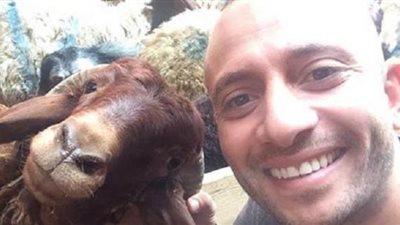 صور.. نجوم الكرة وعيد الأضحى.. الحضري ”كابتن برتبة جزار” وشيتوس مع ”الخروف الضاحك”.. وكهربا ”بوحة” في العيد