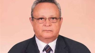 ننشر السيرة الذاتية لرئيس مجلس البحوث الاجتماعية والسكانية الجديد