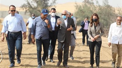 شاهد.. محافظ الجيزة يوضح أعمال إنشاء الإسطبل الحضارى بمحيط المنطقة الأثرية بالأهرامات