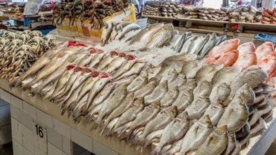 بورصة الأسعار| استقرار فى سعر الأسماك.. كيلو البلطي يتراوح بين 17-37 جنيها