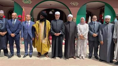أبرزه المراجعات الفكرية.. كواليس لقاء وفد الأزهر الشريف بأعضاء المركز الثقافي المصري بنيجيريا