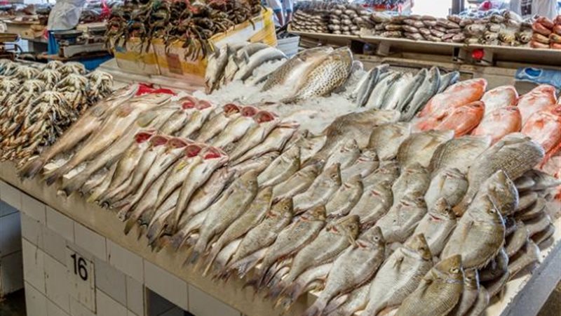 الموجز