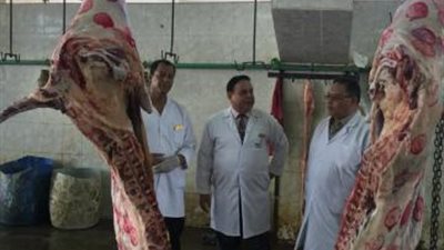 الزراعة: ذبح 3500 أضحية بالمجازر مجانا في ثالث أيام العيد