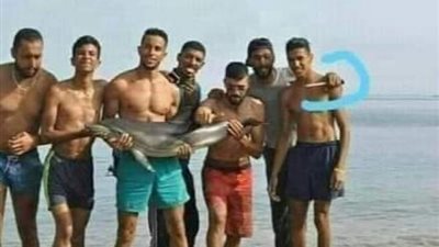 وزيرة البيئة تكشف حكاية الشباب وقتل الدولفين