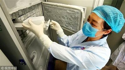 عاجل.. منظمة الصحة العالمية تبرئ  الصين من نشر وباء كورونا