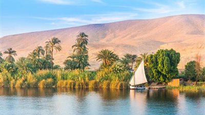 لماذا فكرت بريطانيا في قطع مياه النيل عن مصر؟.. اعرف السبب