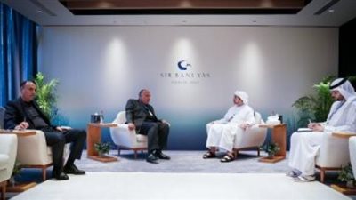 شكرى يبحث مع نظيره الإماراتى تطورات الأوضاع بالمنطقة