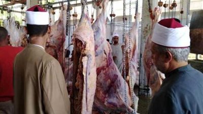 تعليمات مشددة من الأوقاف عند توزيع لحوم الأضاحي.. تعرف عليها