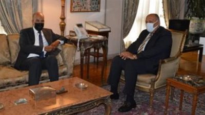 شكرى يبحث مع نائب رئيس المجلس الرئاسي الليبي تطورات الأزمة الليبية