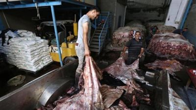 محمد مهران : قرار منع تصديرالجلود يسبب خطرا بيئيا