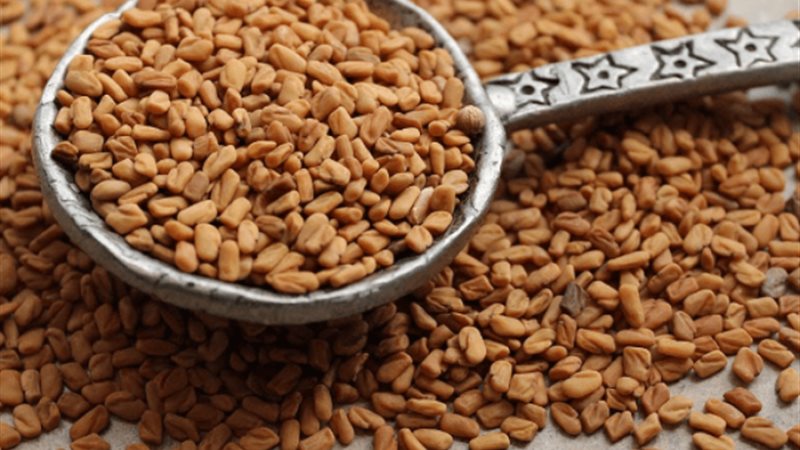 بذور الحلبة