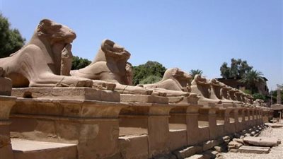 الطيران: مطار الأقصر جاهز لاستقبال ضيوف الاحتفال العالمى لافتتاح طريق الكباش