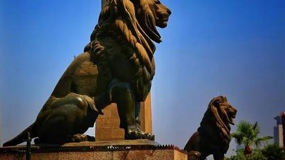 حكايات مثيرة حول أسود  ”قصر النيل” .. وقصة ” شنبهم” الذى تسبب فى انتحار صانعهم