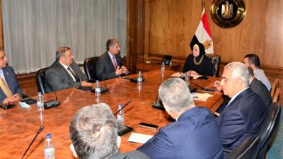 نيفين جامع: دور رئيسي لمنظمات الاعمال بمصر والبحرين في تنمية العلاقات الاقتصادية المشتركة