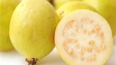 الجوافة.. روشتة علاجية لتقوية المناعة والجهاز الهضمي