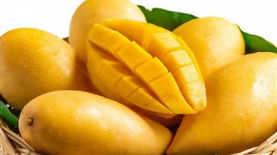 ماذا تعرف عن زكاة المانجو وحكمها؟.. الإفتاء ترد