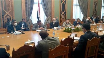 تفاصيل اجتماع اللجنة الدائمة لمتابعة العلاقات المصرية الأفريقية