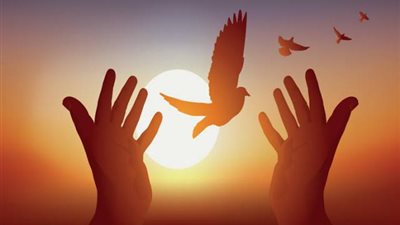 أمرين لا تتركهما في التوكل على الله.. ما هما؟