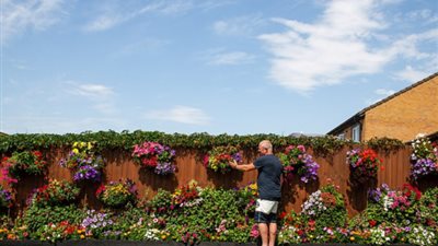 على طريقة لعبة المزرعة السعيدة.. رجل مسن يحول منزله لحديقة أزهار مذهلة