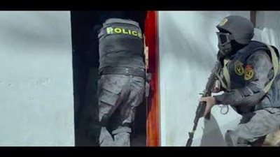 بالفيديو .. حملات وزارة الداخلية لضبط الزراعات المخدرة بالاسماعيلية وأسيوط