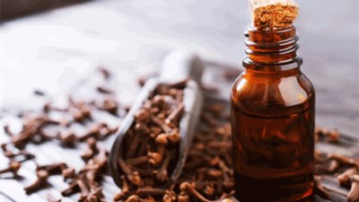 القرنفل.. الحال المثالي لتقوية الشعر وانقاص الوزن