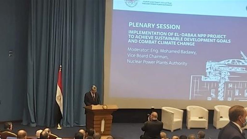 وزير الكهرباء