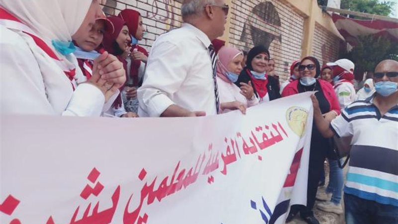 انتخابات مجلس الشيوخ