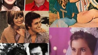 حكايات 7 أزواج في حياة ”قطة الشاشة”