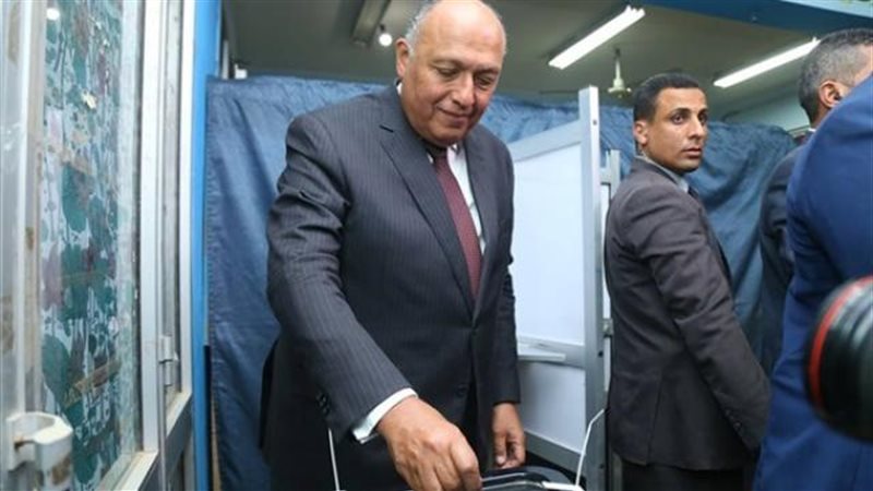 سامح شكرى وزير الخارجية