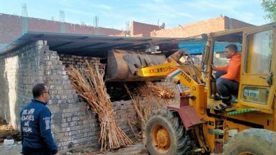 بالفيديو.. إزالة التعديات على النيل والأراضي الزراعية بالجيزة