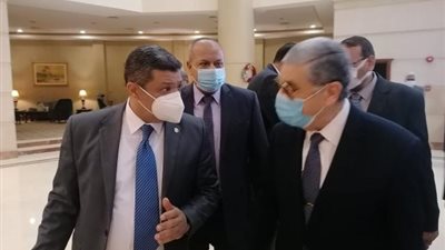 وزير الكهرباء يشيد بدور الطاقة الذرية في بناء الاقتصاد العربي