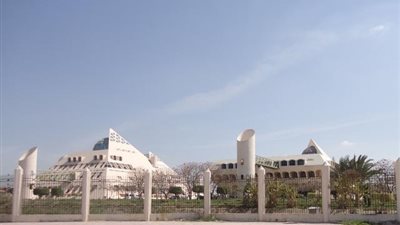 التفاصيل الكاملة لإكتشاف بروتوكول علاجي مصرى جديد لكورونا