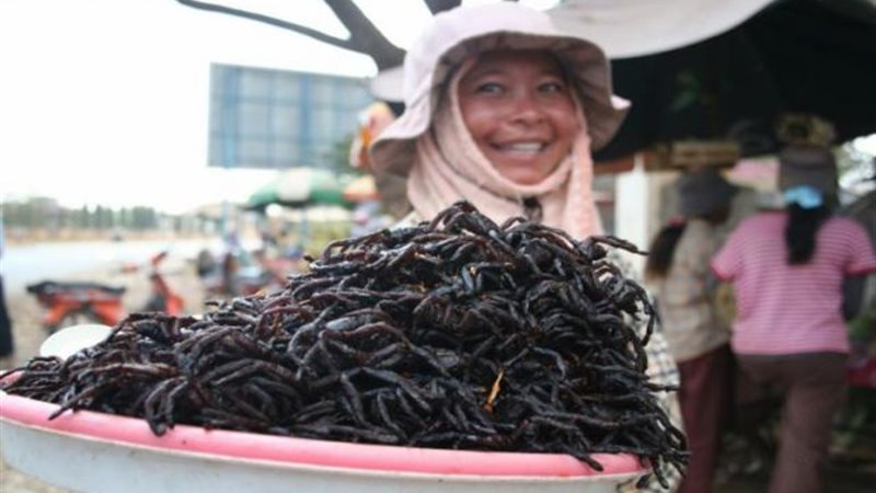 الموجز