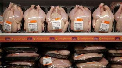 عاجل.. الحكومة المصرية تصدر قرارا بشأن الفراخ المجمدة المستوردة من البرازيل بسبب فيروس كورونا