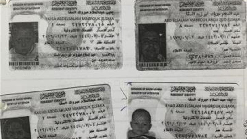المهندس المصري وأسرته