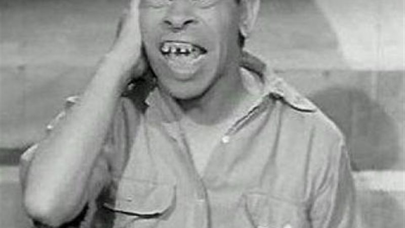 صفا الجميل