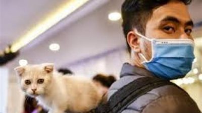 متحدث الزراعة يكشف حقيقة انتقال كورونا من وإلى الحيوانات