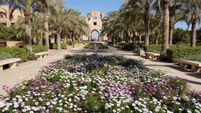 الجامعة الأمريكية بالقاهرة تحتل المرتبة الأولى في تصنيف جامعة إندونيسيا للحرم الأخضر