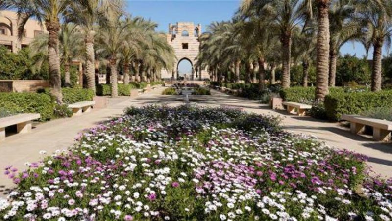 الموجز