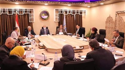 جامعة حلوان تشارك في اجتماع اللجنة العليا المنفذة للمشروع القومي لمحو الأمية