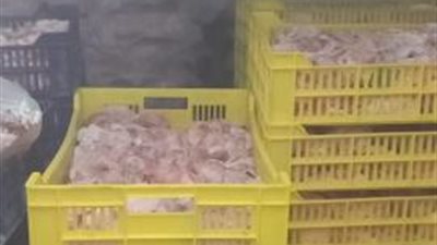 بالصور.. تفاصيل ضبط ٦ طن لحوم مفرومة و دهون غير صالحة للاستهلاك الأدمي بإمبابة