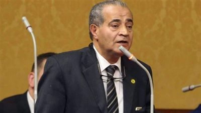 كل ما تريد معرفته عن المنطقة التجارية بطنطا