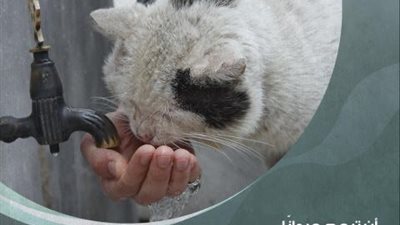 كيف حث الأسلام علي الرفق بالحيوان وحرم تعذيبه؟..الأزهر يجيب