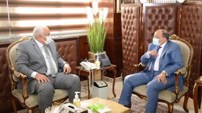 تفاصيل لقاء وزير التنمية المحلية ومحافظ الوادي الجديد