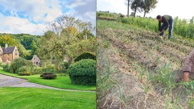 «مش هتعرف تقلد الفراعنة».. تعرف على الفرق بين الريف المصري والريف الإنجليزي