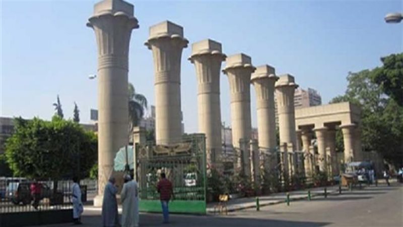 جامعة حلوان