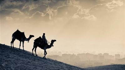 في ذكرى الهجرة..ماذا قال «البحوث الإسلامية» عن مواقف الصديق مع الرسول ؟