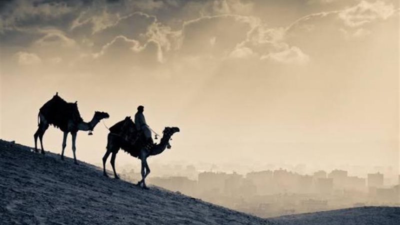 الهجرة النبوية