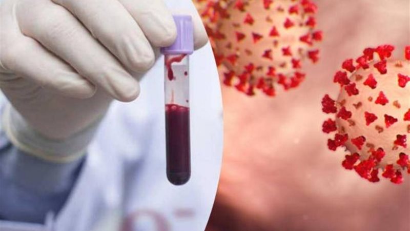 فيروس كورونا 