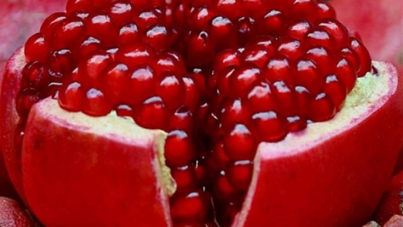 الرمان